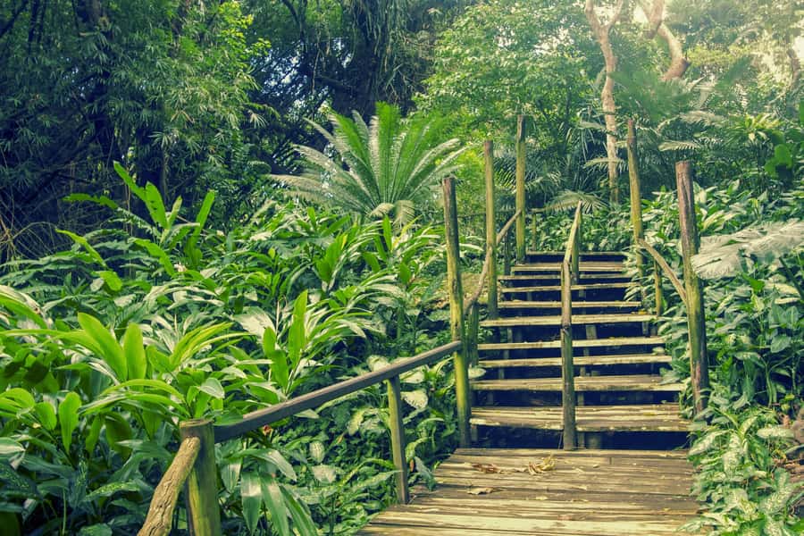 Nadi: Garden Village Hot Spring & Temple Highlights Tour - What this Nadi tour is really designed to do