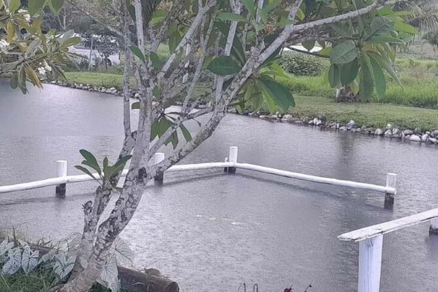 Nadi: Garden Village Hot Spring & Temple Highlights Tour - Viseisei Village and the school visit