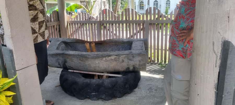 Nadi: Garden Village Hot Spring & Temple Highlights Tour - Food, shopping, and what to pack