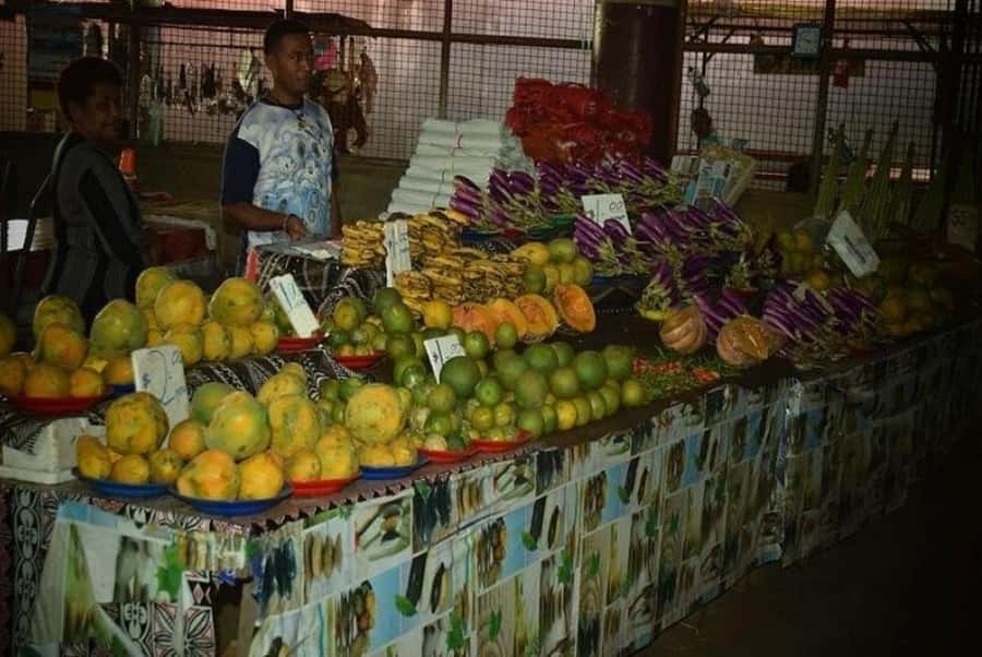 Nadi: Private Tour with Temple, Garden, Markets & Mud Pools - Garden of the Sleeping Giant and its orchid collection