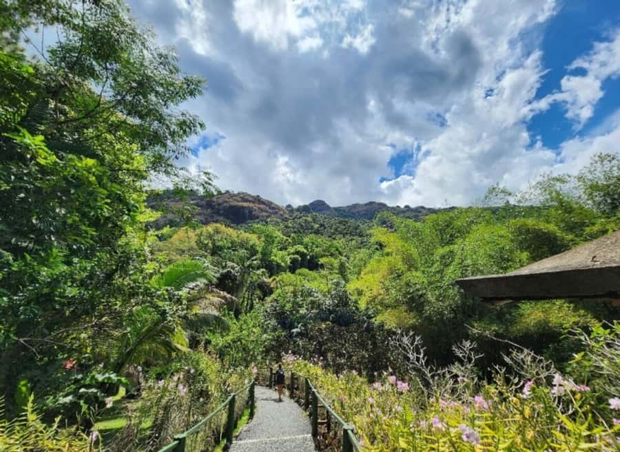 Nadi: Private Tour with Temple, Garden, Markets & Mud Pools - What the $115 price includes