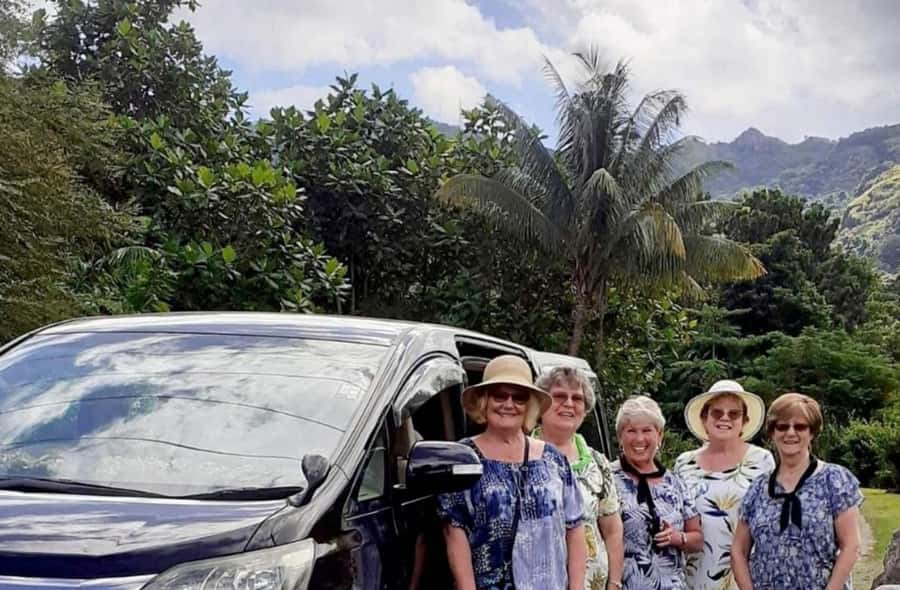 Nadi: Private Tour with Temple, Garden, Markets & Mud Pools - Who will enjoy this half-day Nadi tour?