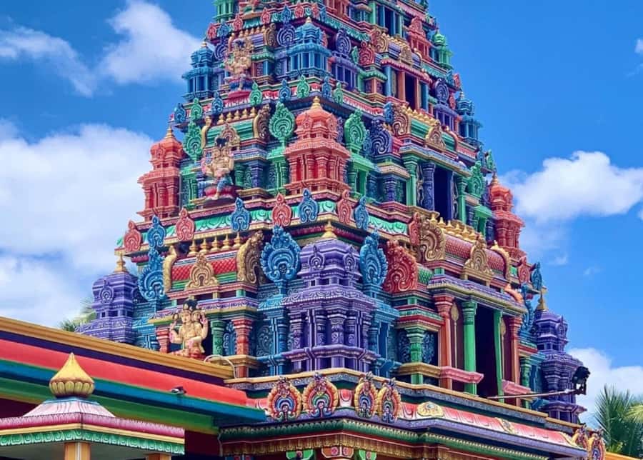 Nadi: Private Tour with Temple, Garden, Markets & Mud Pools - Booking details and simple preparation