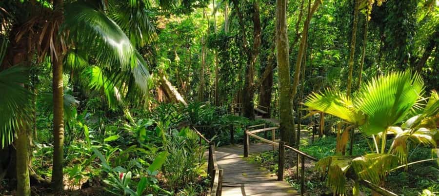 NADI-SABETO: Exquisite Orchid Garden with Hotspring Mudpool - Orchids, lilies, and the mountain valley setting
