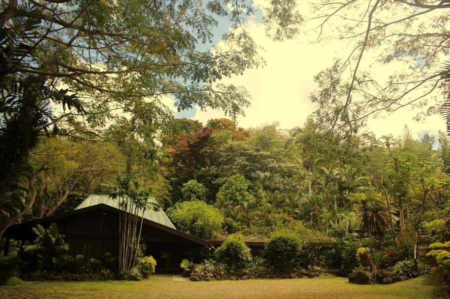 NADI-SABETO: Exquisite Orchid Garden with Hotspring Mudpool - Getting into the mud pool