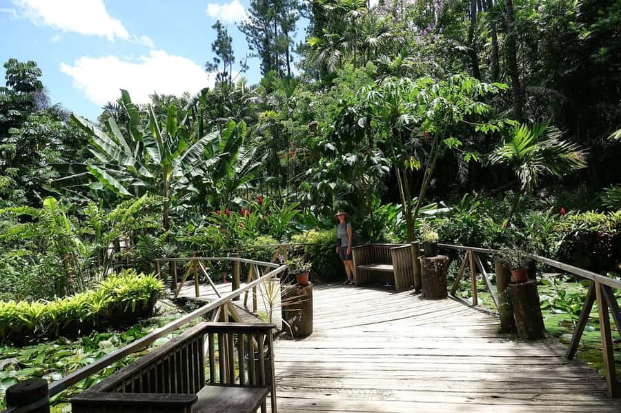 NADI-SABETO: Exquisite Orchid Garden with Hotspring Mudpool - Entering the Garden of the Sleeping Giant