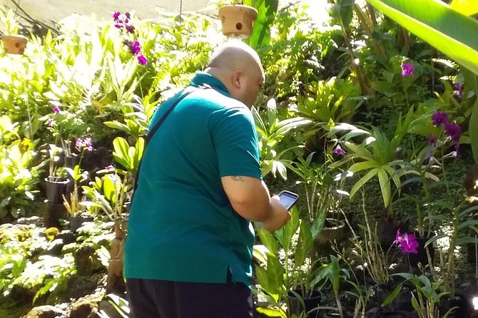 Nadi Sightseeing Including Viseisei Lookout, Village Tour, Garden & Temple Tour - The guide makes the biggest difference