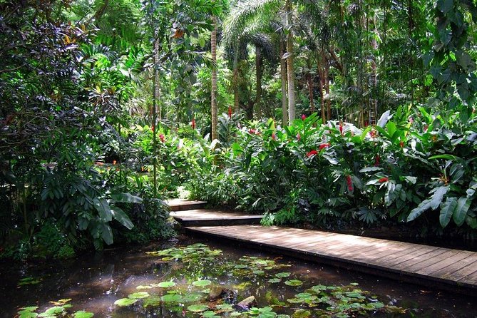 Nadi Sightseeing Including Viseisei Lookout, Village Tour, Garden & Temple Tour - Understanding Viseisei Village