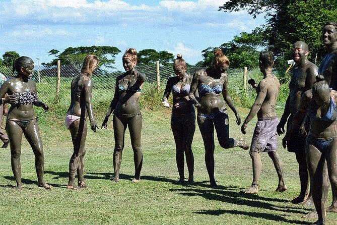 Nadi Therapeutic Mud Pools and Garden Tour - Shore Excursions EX PORT DENARAU - The Garden of the Sleeping Giant and its orchids