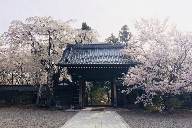 Nagano Spring: 1-Day Cherry Blossoms & Snow Monkeys Guided Tour - Walking into Jigokudani Monkey Park