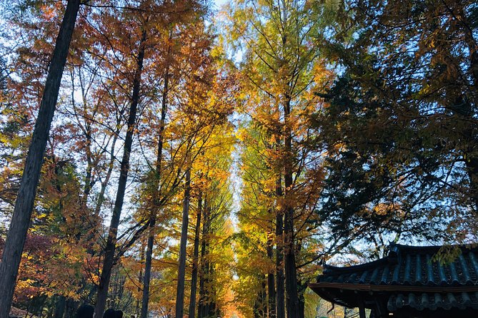 Nami+Alpaca+Garden of Morning Calm (+Rail Bike Option) - Why this day trip works from Seoul