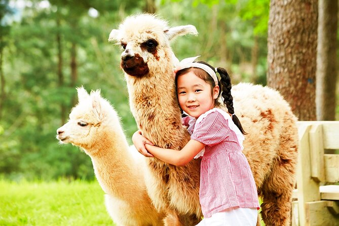 Nami+Alpaca+Garden of Morning Calm (+Rail Bike Option) - Transport, meeting points, and timing