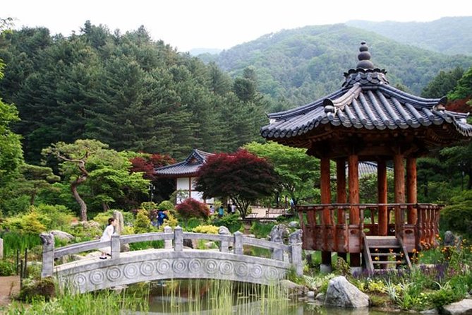 Nami Island, Cable Car, Garden of Morning Calm Panoramic Tour - Guides, Transport, and the Pace of the Day