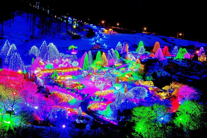 Nami Island, Cable Car, Garden of Morning Calm Panoramic Tour - Who Will Get the Most from This Tour?