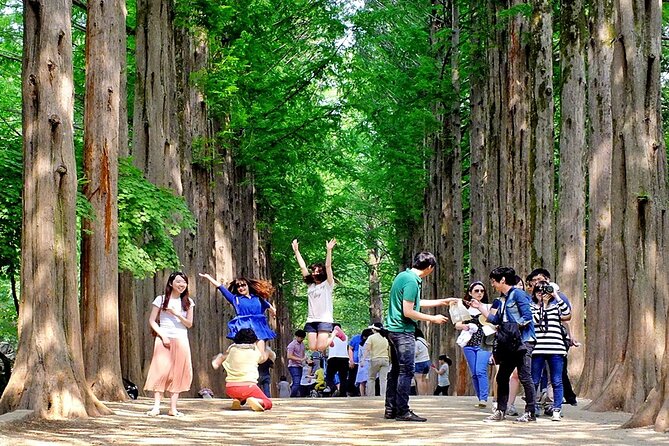 Nami Island, Cable Car, Garden of Morning Calm Panoramic Tour - The Garden of Morning Calm: A Gentle Start or a Crowded Finish