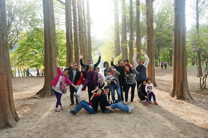 Nami Island from Seoul: Petit France and Garden of Morning Calm - Why This Private Route Works From Seoul