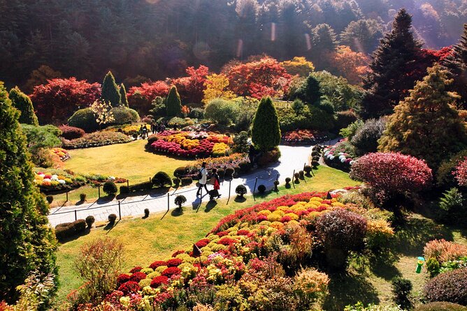 Nami Island & Garden of Morning Calm & Gangchon Railbike Tour - Timing, traffic, and the real length of the day