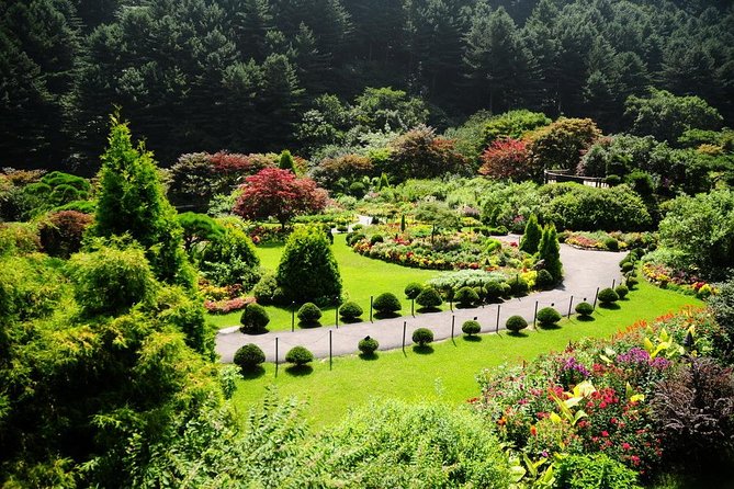 Nami Island & Garden of Morning Calm & Gangchon Railbike Tour - Who will enjoy this tour most?