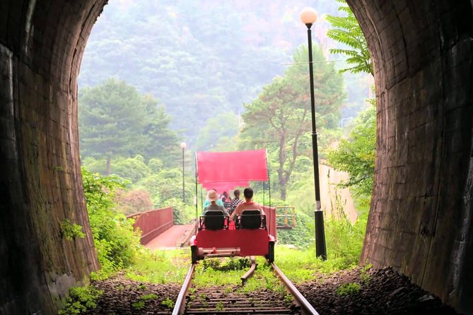 Nami Island & Garden of Morning Calm & Gangchon Railbike Tour - Nami Island: pretty paths and a famous Korean setting
