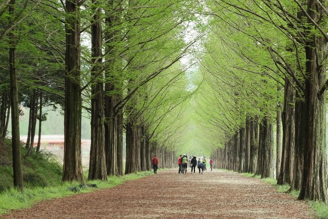 Nami Island& Petite France& Garden of Morning Calm& Italian Village One-Day Tour - Italian Village: the fourth stop to clarify before booking
