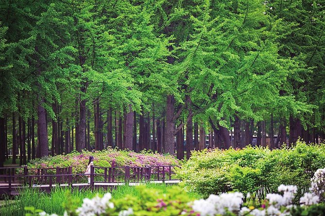 Nami Island& Petite France& Garden of Morning Calm& Italian Village One-Day Tour - The Garden of Morning Calm in every season