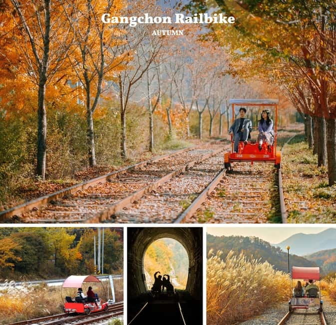 Nami Island, Railbike & Alpaca Garden Day Trip from Seoul - Pedaling through the valleys on Gangchon Railbike