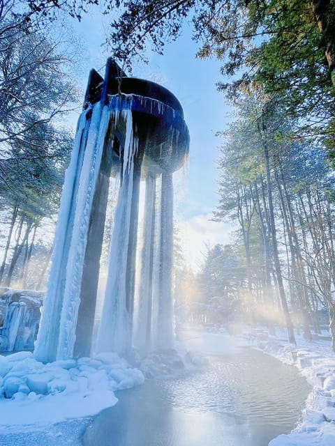 Nami Island, Railbike & Alpaca Garden Day Trip from Seoul - Who should choose this experience?