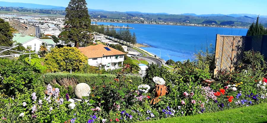 Napier: Art-Deco + Te Mata Peak+ Garden Walk + Wine Tasting - Te Mata Peak and the Heretaunga Plains