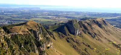 Napier: Art-Deco + Te Mata Peak+ Garden Walk + Wine Tasting