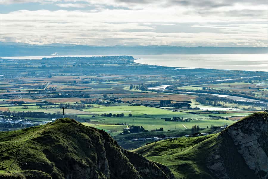Napier: Art-Deco + Te Mata Peak+ Garden Walk + Wine Tasting - Bluff Hill, port views, and your ship below