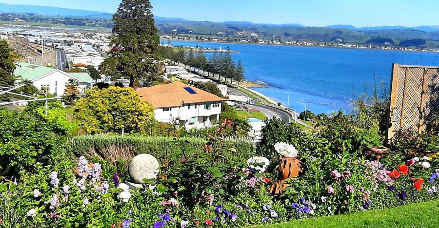 Napier: Art-Deco + Te Mata Peak+ Garden Walk + Wine Tasting - The guide makes the difference
