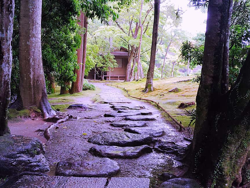 Nara: Yoshikien and Isuien Gardens Tour with Tea Tasting - What you receive for $83