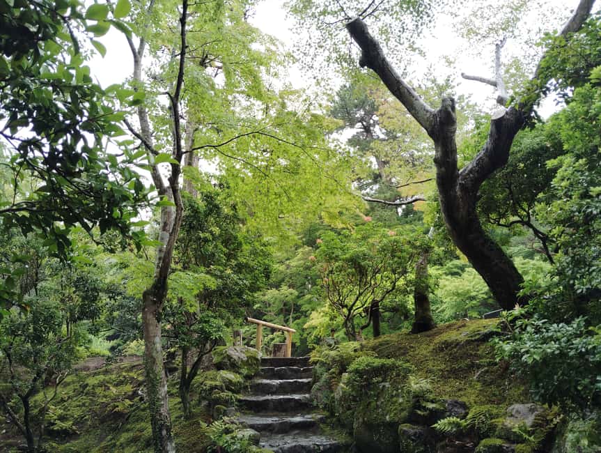 Nara: Yoshikien and Isuien Gardens Tour with Tea Tasting - Who should book this experience