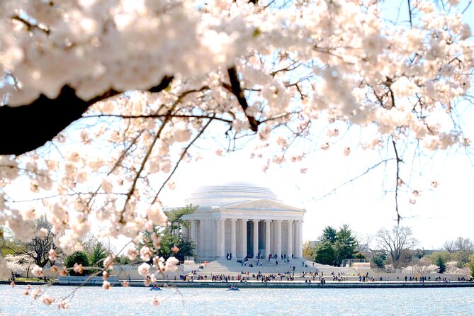 National Mall & Cherry Blossoms Tour with Optional Museum Tickets - Cherry blossoms and the Tidal Basin