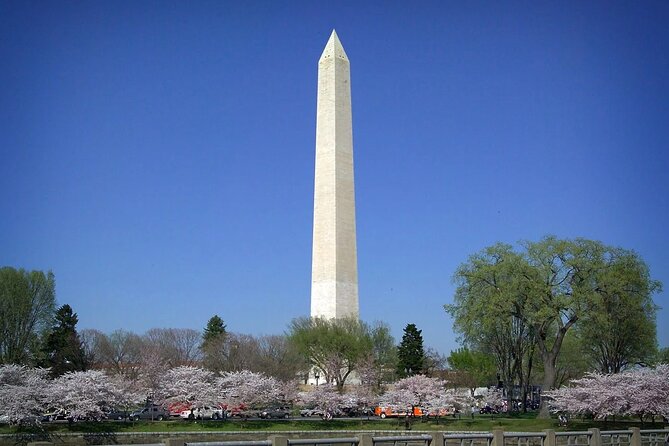 National Mall & Cherry Blossoms with Washington Monument Ticket - Key points before you book