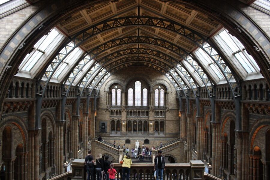 Natural History Museum e Kensington Garden - What $517 means for value