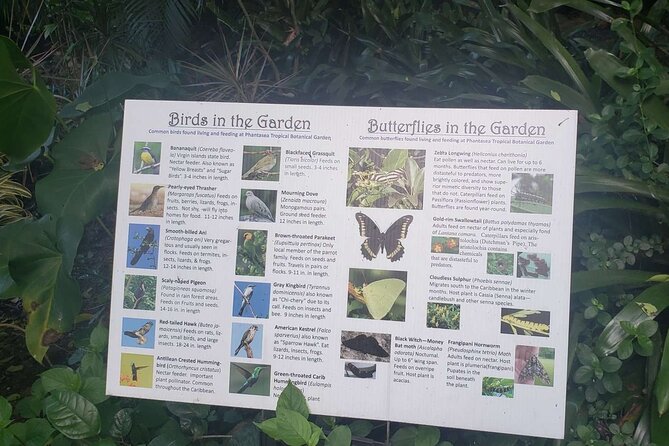 Nature and Sightseeing at Phantasea Tropical Botanical Garden - A One-Hour Walk Among Orchids and Bromeliads