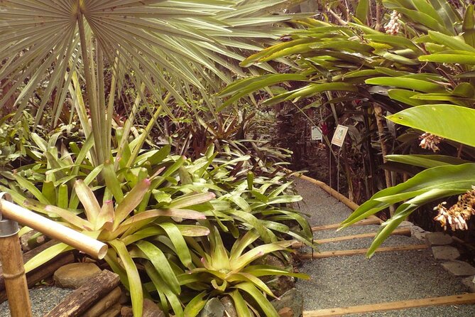 Nature and Sightseeing at Phantasea Tropical Botanical Garden - Is $15.80 a Fair Price?
