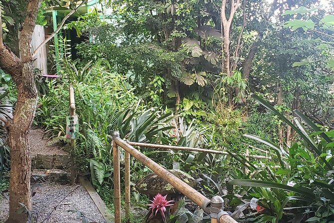 Nature and Sightseeing at Phantasea Tropical Botanical Garden - Booking, Cancellations, and Practical Details