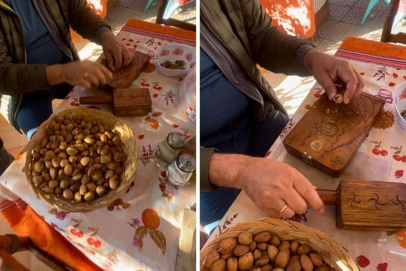 Near Cagliari: Almond Blossom Magic at "In Our Garden" (new) - Key points at a glance