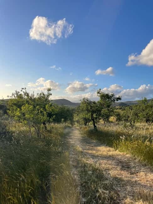 Near Cagliari: Almond Blossom Magic at "In Our Garden" (new) - Finishing with almond oil self-massage