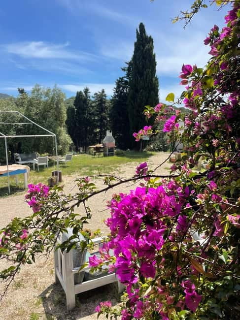 Near Cagliari: Almond Blossom Magic at "In Our Garden" (new) - Language, timing, and practical planning