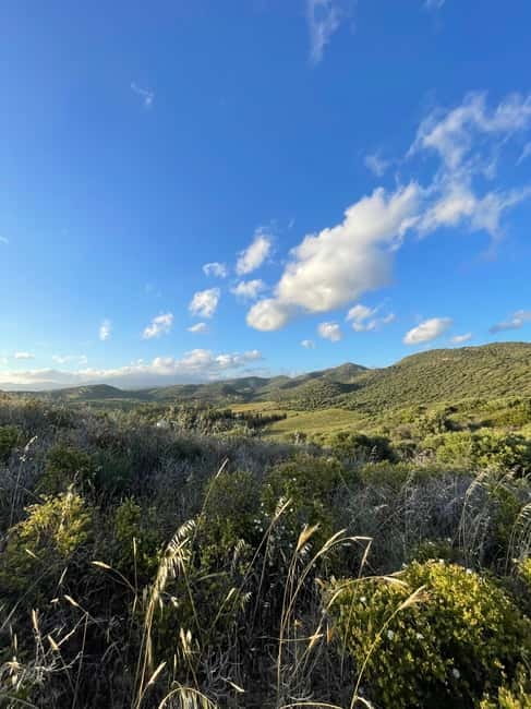 Near Cagliari: Almond Blossom Magic at "In Our Garden" (new) - Walking among the almond trees