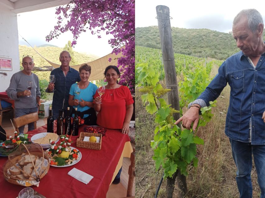 Near Cagliari: The World of Natural Wine at "In Our Garden" - Should you book In Our Garden?