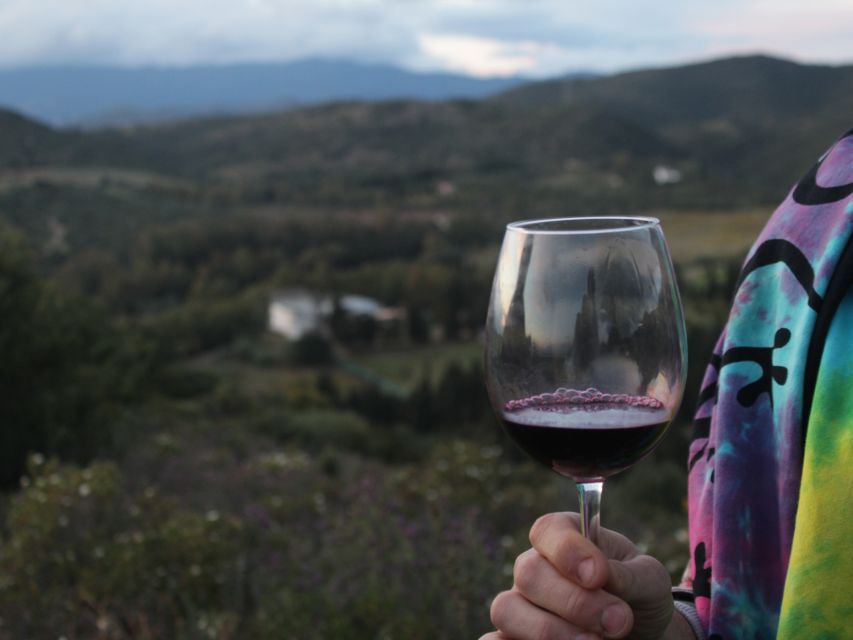 Near Cagliari: The World of Natural Wine at "In Our Garden" - Hammocks, lavender, and a slower finish