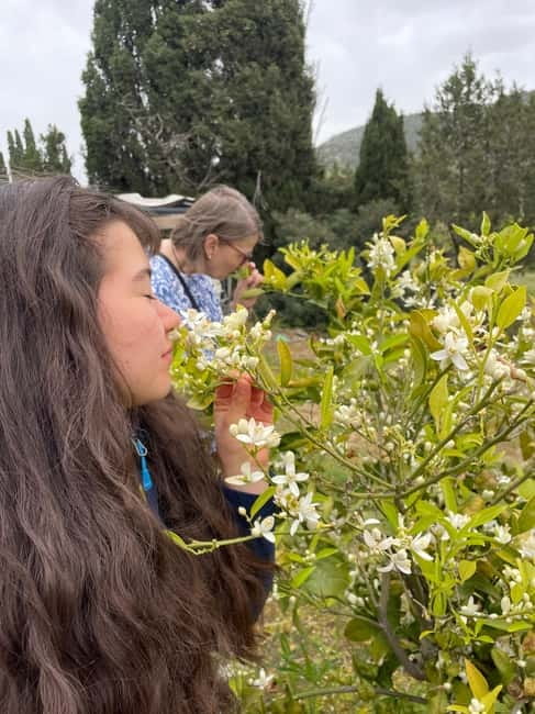 Near Cagliari: Wild Herbs and Healing at "In Our Garden" - Key things to know before you book