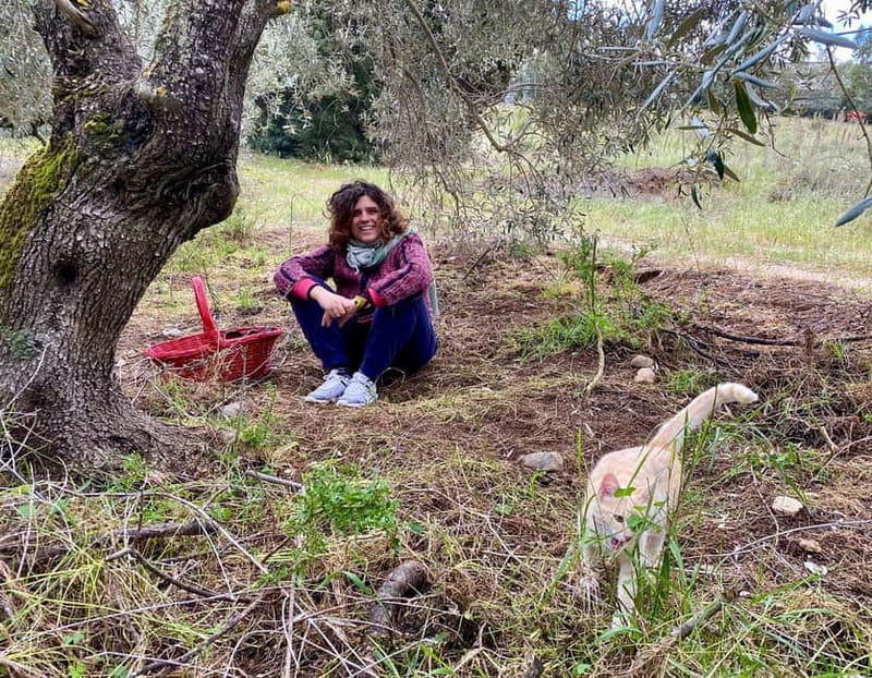 Near Cagliari: Wild Herbs and Healing at "In Our Garden" - Sardinian folk wisdom beyond the beach
