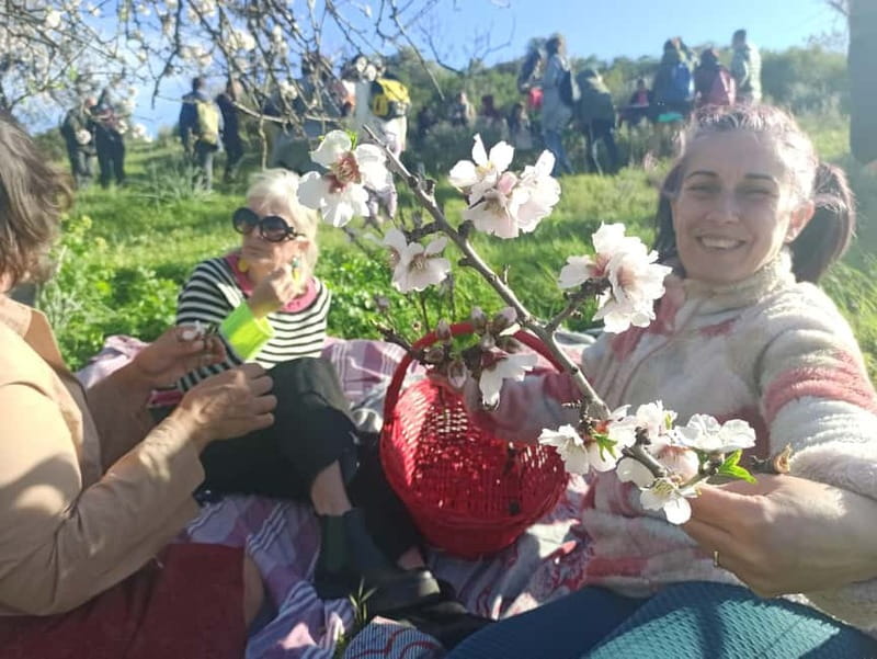 Near Cagliari: Wild Herbs and Healing at "In Our Garden" - Getting there from Cagliari without a car