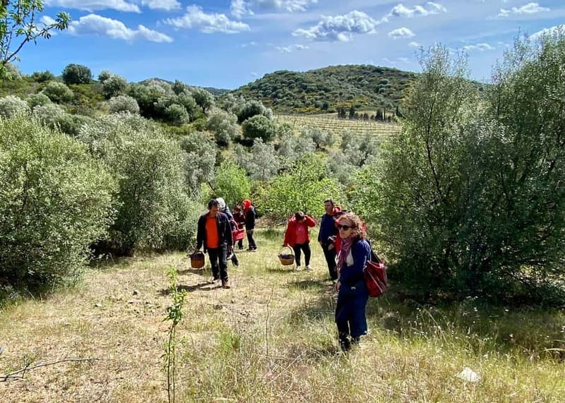 Near Cagliari: Wild Herbs and Healing at "In Our Garden" - Who will enjoy this most?