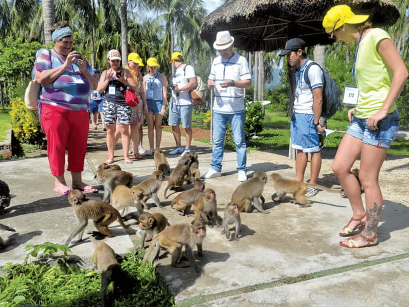 Nha Trang: Monkey Island with Orchids Island Combo Ticket - Key points to know before you book